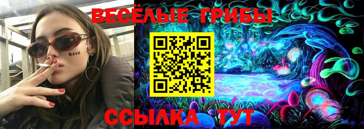 Галлюциногенные грибы Psilocybine cubensis  Галлюциногенные грибы MAGIC MUSHROOMS  Вход с VPN  Кашира 