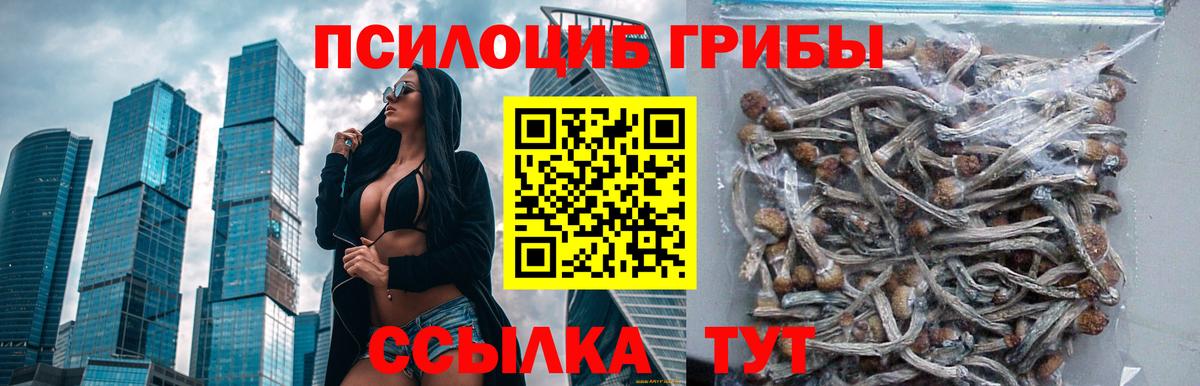 Псилоцибиновые грибы Кашира