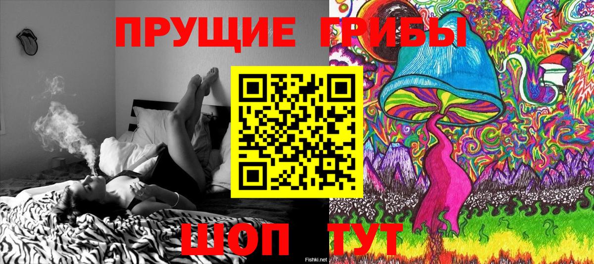 Псилоцибиновые грибы MAGIC MUSHROOMS Кашира